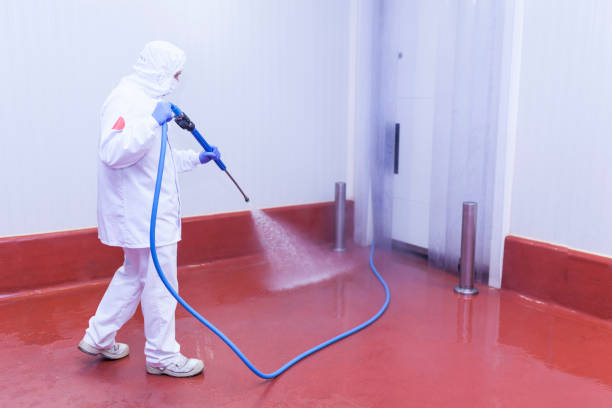 Best Patio and Deck Pressure Washing  in Mendon, UT