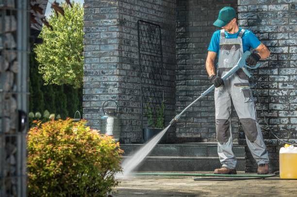 Best Solar Panel Cleaning  in Mendon, UT
